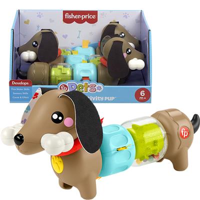 Fisherprice Pets Click And Spin Activity Pup 2014666